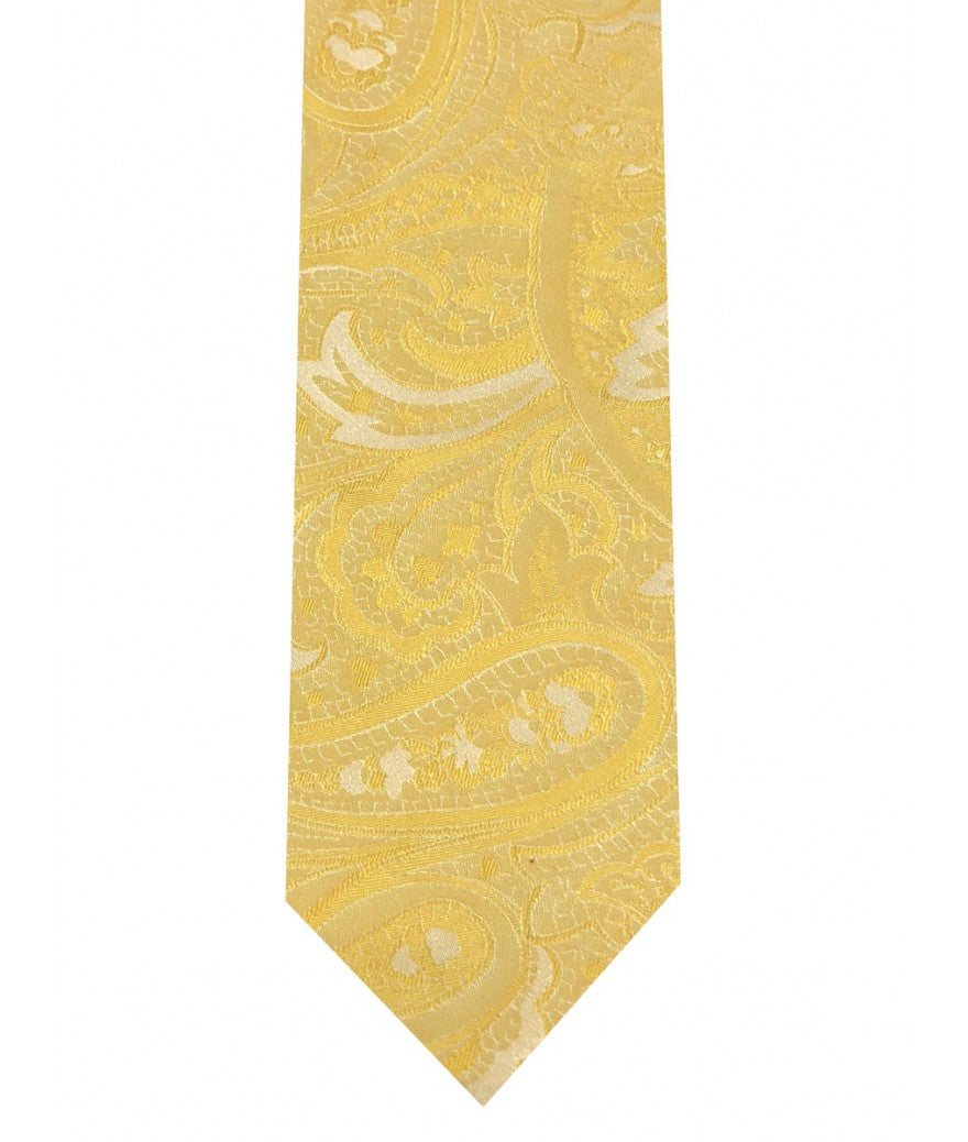 Men's 2162 Microfiber 2.75in Ties & Hankies